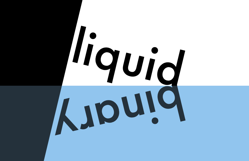 LiquidBinary
          logo
